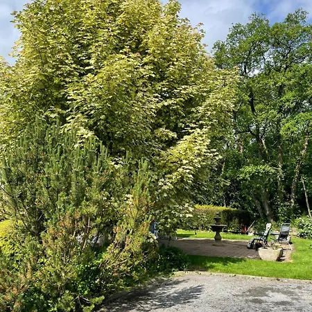 Woodland