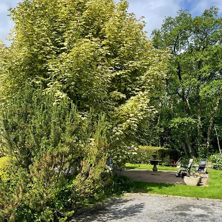 Woodland