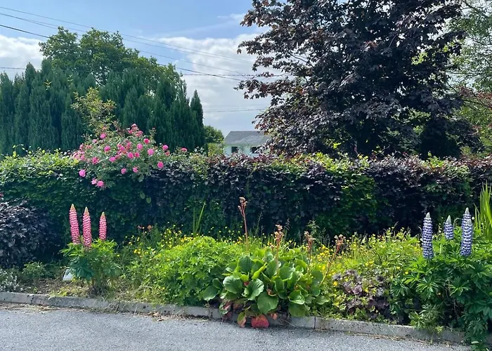 Appartement Woodland Galway