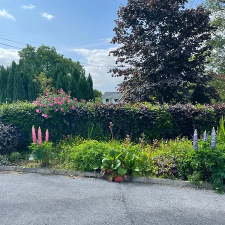 Апартаменты Woodland Голуэй