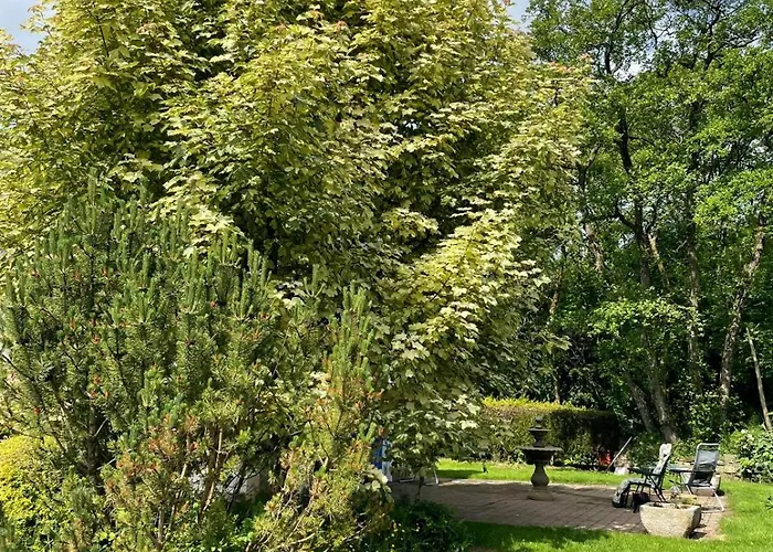 Woodland